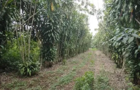 Lote en venta en Santa Bárbara, Heredia – foto 3