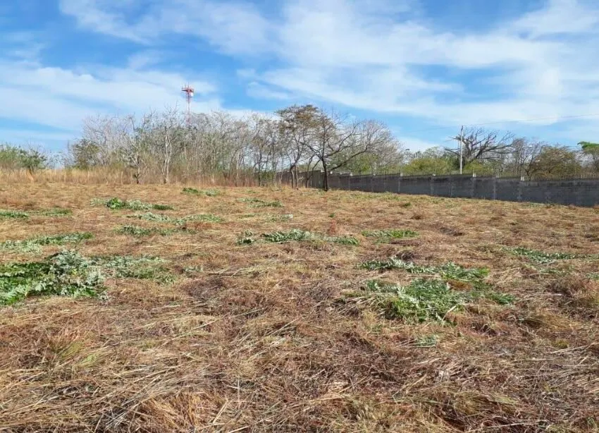 Lote en venta en Liberia, Guanacaste – foto 6