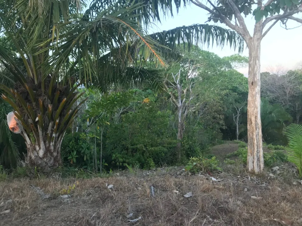 Finca en venta en Parrita, Puntarenas – foto 46