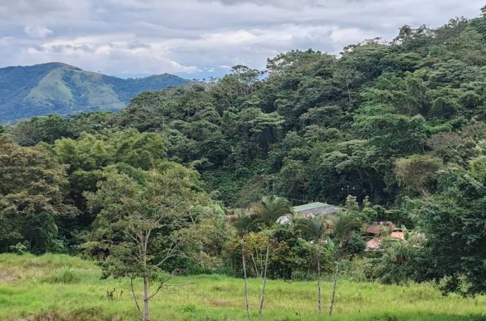 Finca en venta en Palmares, Alajuela – foto 8