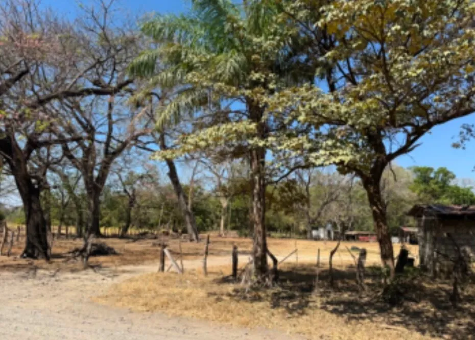 Lote en venta en Liberia, Guanacaste – foto 7