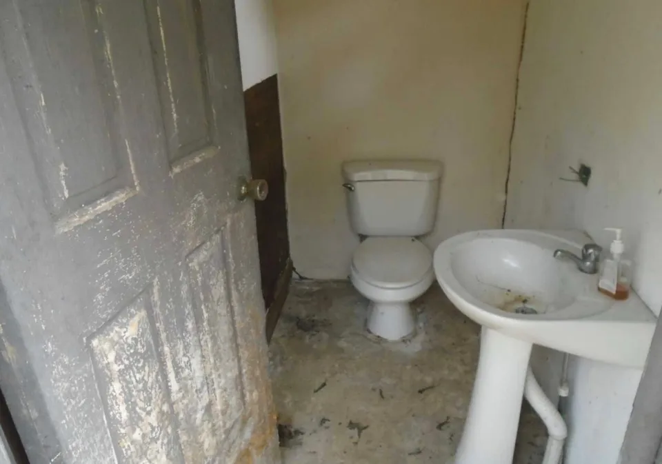 Finca en venta en San Ramón, Alajuela – foto 7
