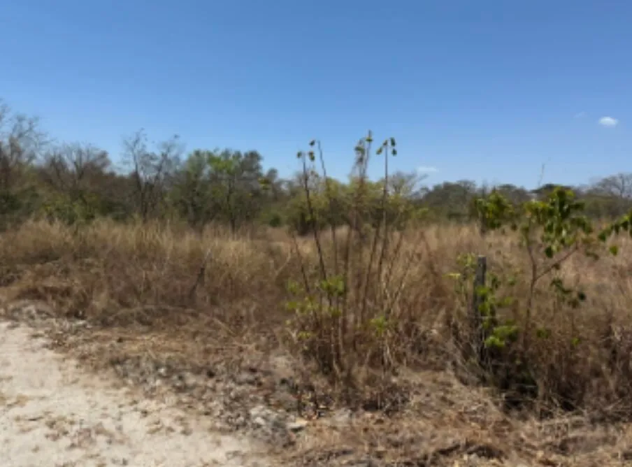 Lote en venta en Liberia, Guanacaste – foto 6