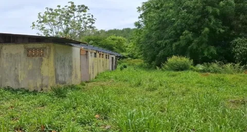 Lote en venta en Quepos, Puntarenas – Lote en Quepos, Boca Vieja
