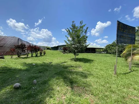 Finca en venta en San Carlos, Alajuela – foto 2