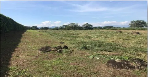 Lote comercial en venta en Alajuela, Alajuela, Alajuela – foto 3