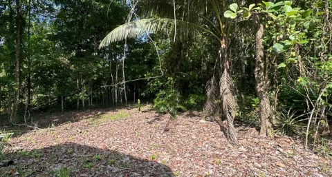 Lote en venta en Garabito, Puntarenas – foto 2