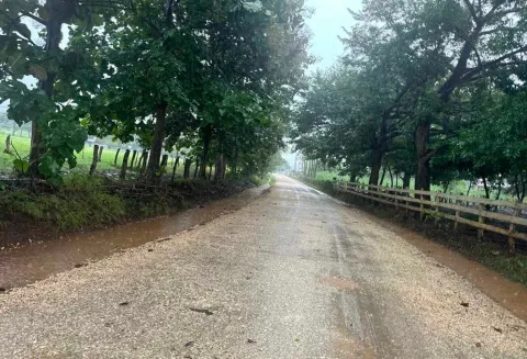 Finca en venta en Nicoya, Guanacaste – foto 5