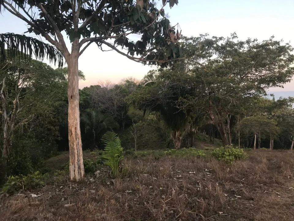 Finca en venta en Parrita, Puntarenas – foto 41