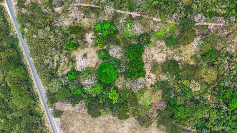 Finca en venta en Cañas, Guanacaste – foto 7