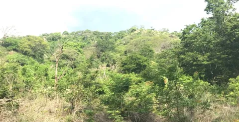 Finca en venta en Carrillo, Guanacaste – foto 2