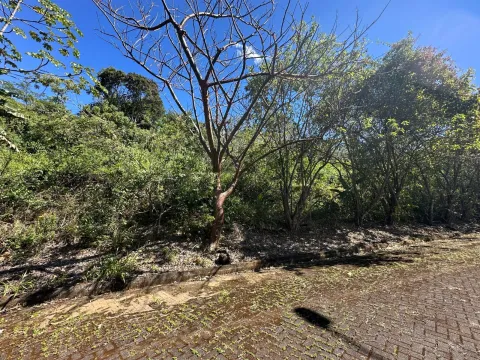 Lote en venta en Mora, San José – foto 4