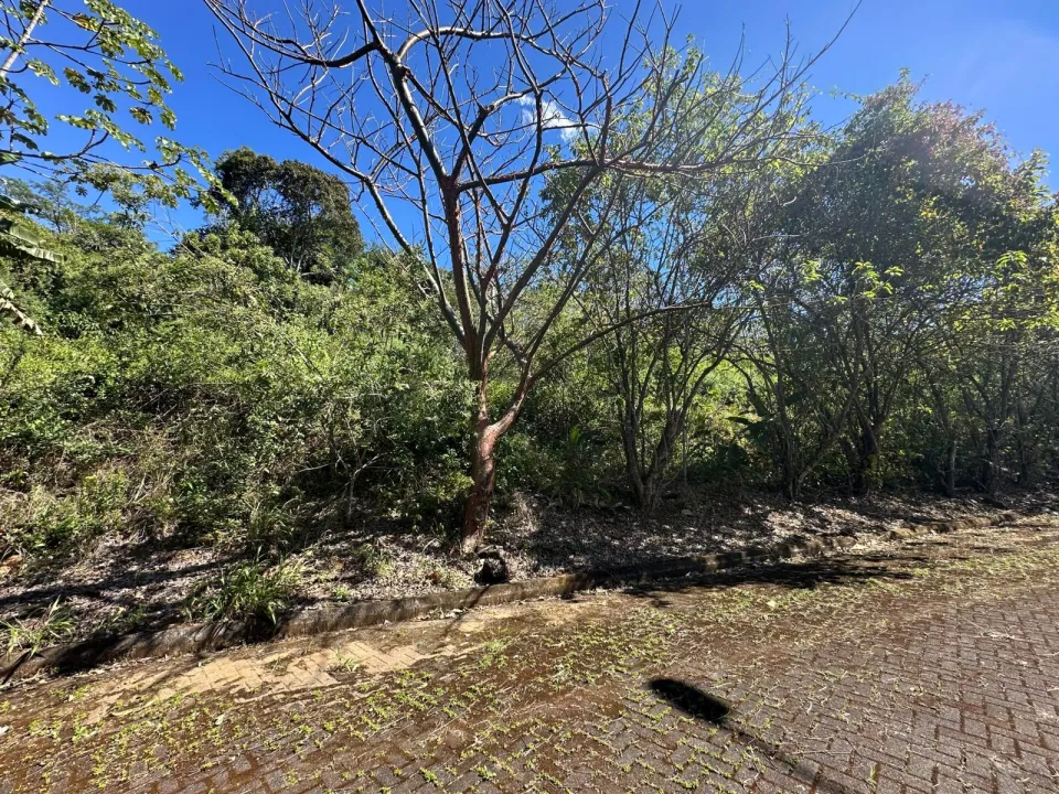 Lote en venta en Mora, San José – foto 4