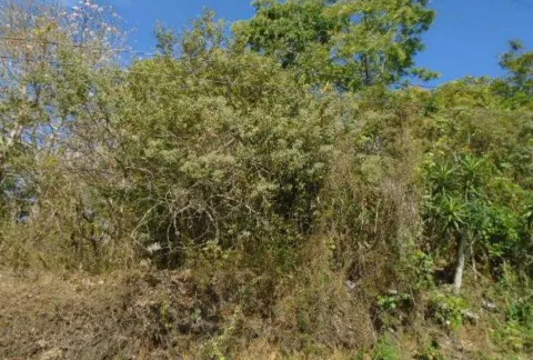 Lote en venta en Naranjo, Alajuela – foto 5