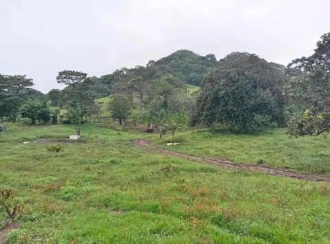 Lote en venta en Turrucares, Alajuela, Alajuela – Propiedad en Turrucares, Alajuela