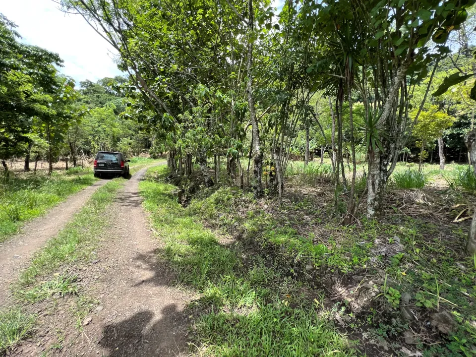 Lote en venta en Mora, San José – Lote en Ciudad Colón