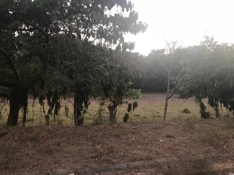Finca en venta en Parrita, Puntarenas – foto 51