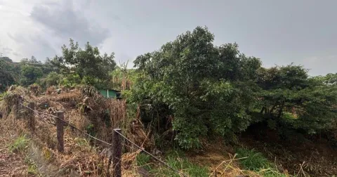 Finca en venta en Grecia, Alajuela – foto 3