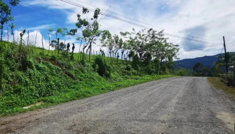 Finca en venta en Siquirres, Limón – foto 2