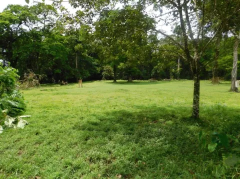 Finca en venta en Sarapiquí, Heredia – foto 4