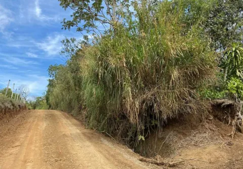 Finca en venta en Naranjo, Alajuela – Propiedad en Guarumal, Naranjo, Alajuela