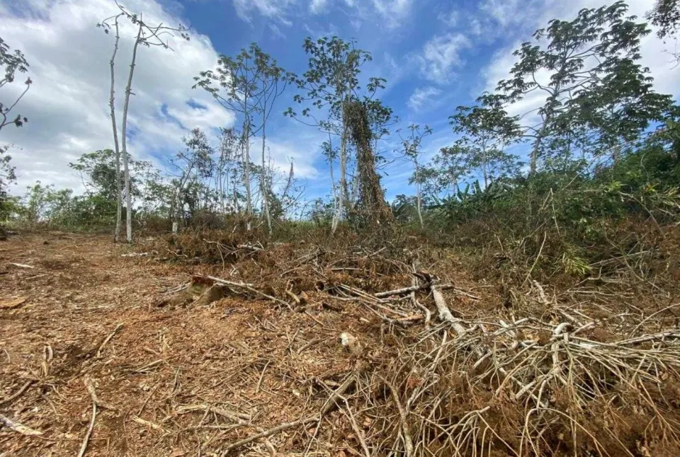 Finca en venta en Naranjo, Alajuela – foto 3