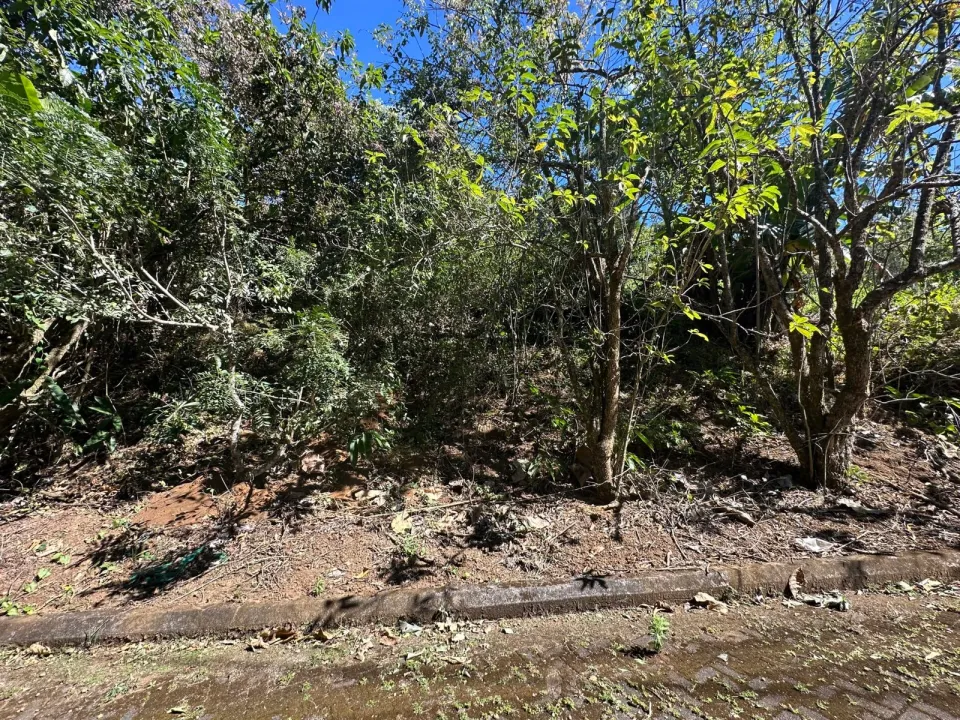 Lote en venta en Mora, San José – foto 2