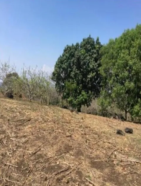 Lote en venta en Puntarenas, Puntarenas, Puntarenas – foto 3