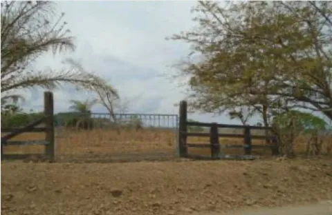 Finca en venta en Orotina, Alajuela – foto 4