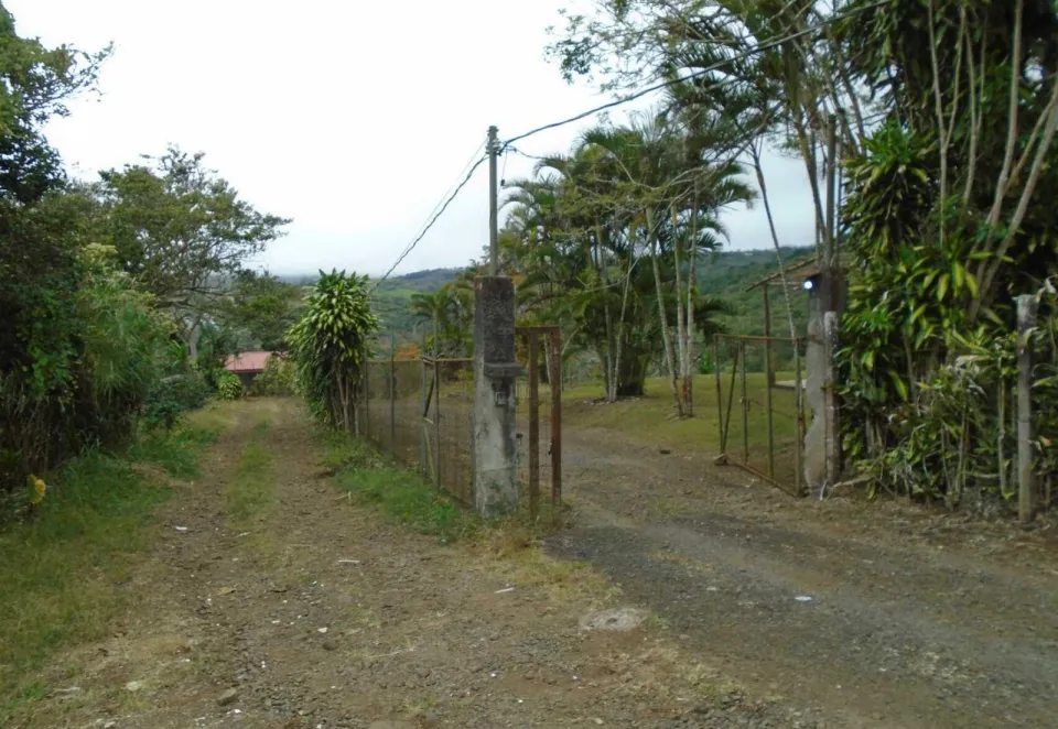 Finca en venta en San Ramón, Alajuela – foto 2