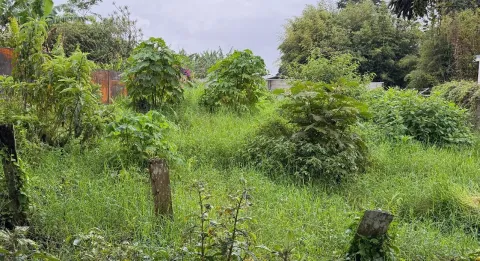 Lote en venta en Moravia, San José – Lote en San Jeronimo de Moravia