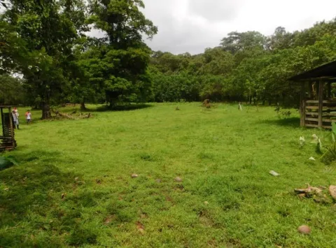 Finca en venta en Sarapiquí, Heredia – foto 5