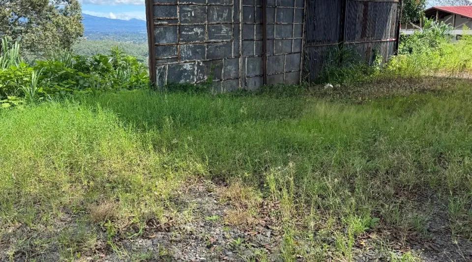 Finca en venta en Naranjo, Alajuela – Finca en Naranjo, Alajuela