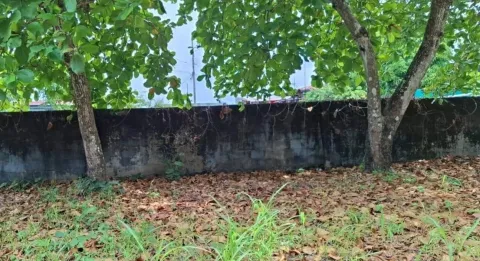 Lote en venta en Quepos, Puntarenas – foto 3