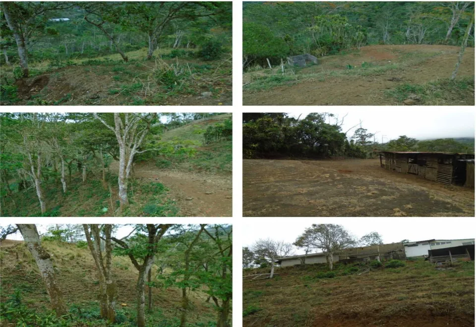 Finca en venta en San Ramón, Alajuela – foto 22