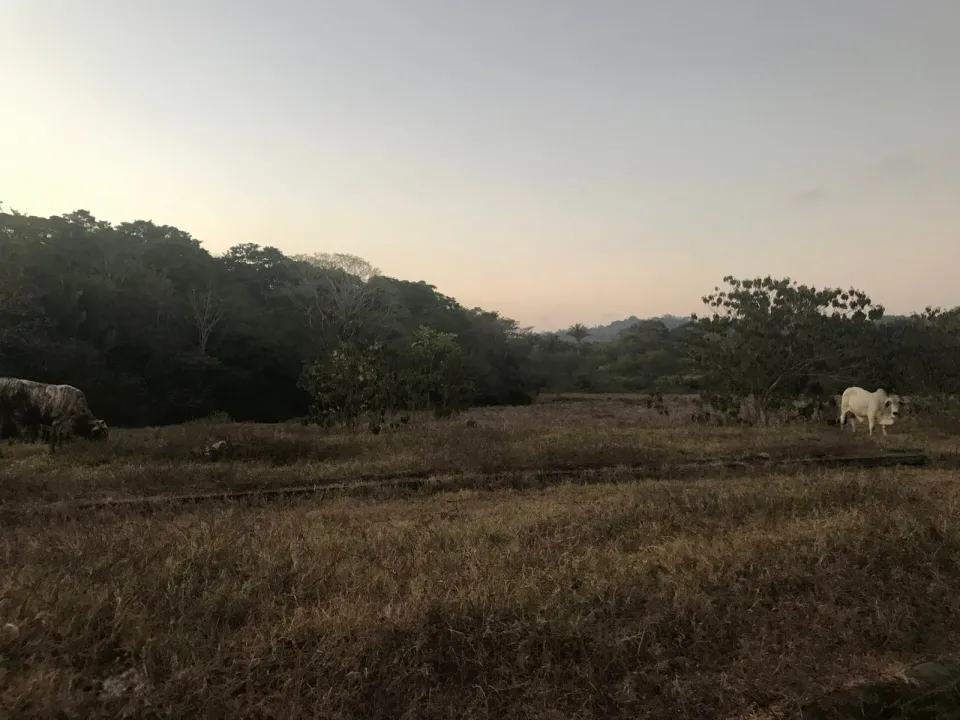 Finca en venta en Parrita, Puntarenas – foto 54