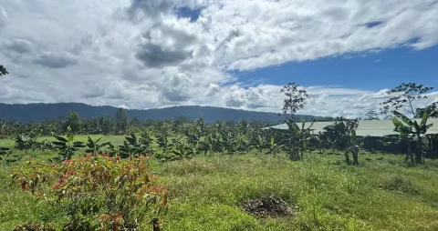 Bodega en venta en Talamanca, Limón – Finca en Talamanca, Limon