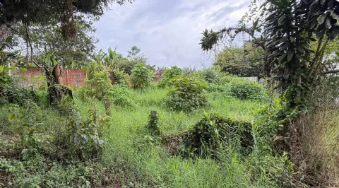 Lote en venta en Moravia, San José – foto 5