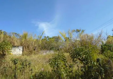 Lote en venta en Naranjo, Alajuela – foto 4