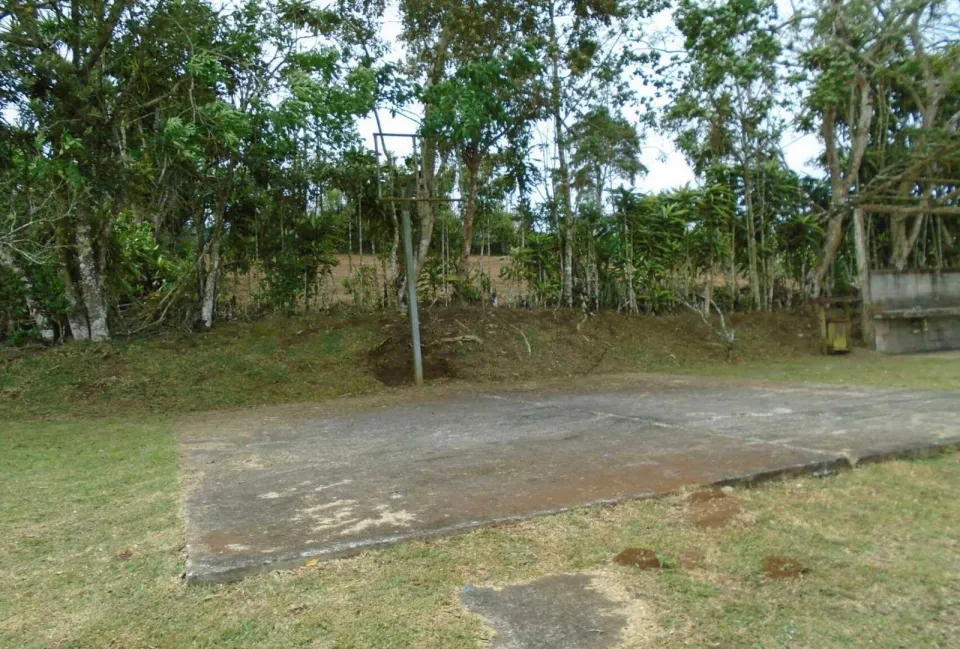 Finca en venta en San Ramón, Alajuela – foto 6