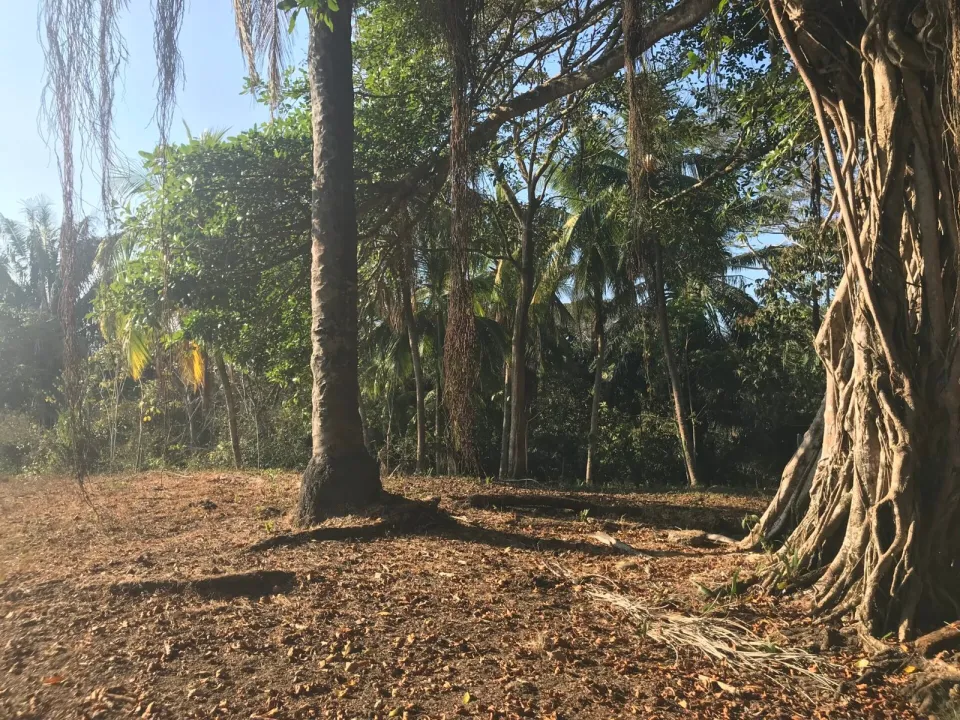 Finca en venta en Parrita, Puntarenas – foto 8