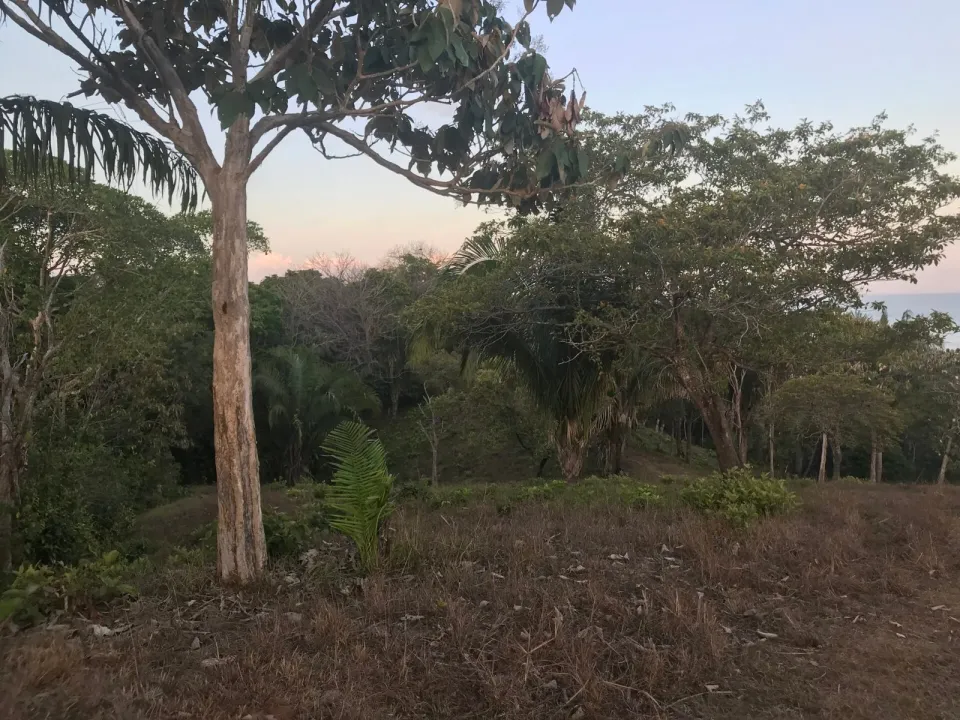 Finca en venta en Parrita, Puntarenas – foto 42