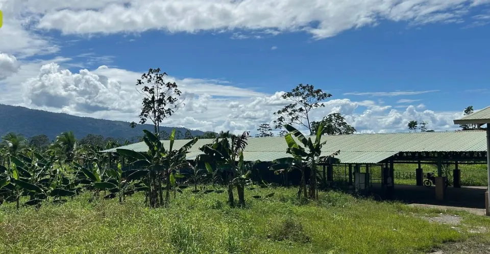 Bodega en venta en Talamanca, Limón – foto 2