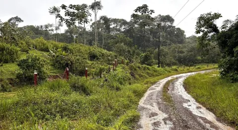 Finca en venta en Sarapiquí, Heredia – foto 3