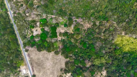 Finca en venta en Cañas, Guanacaste – foto 2