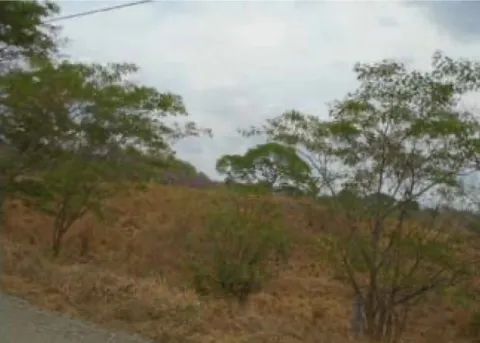 Finca en venta en Orotina, Alajuela – foto 3