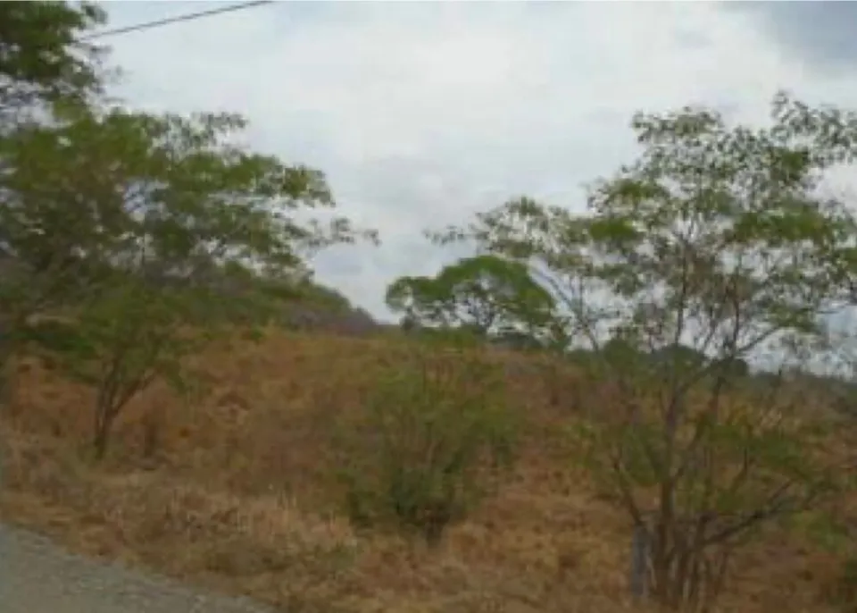 Finca en venta en Orotina, Alajuela – foto 3