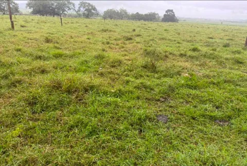 Finca en venta en Nicoya, Guanacaste – Finca en Nicoya, Guanacaste