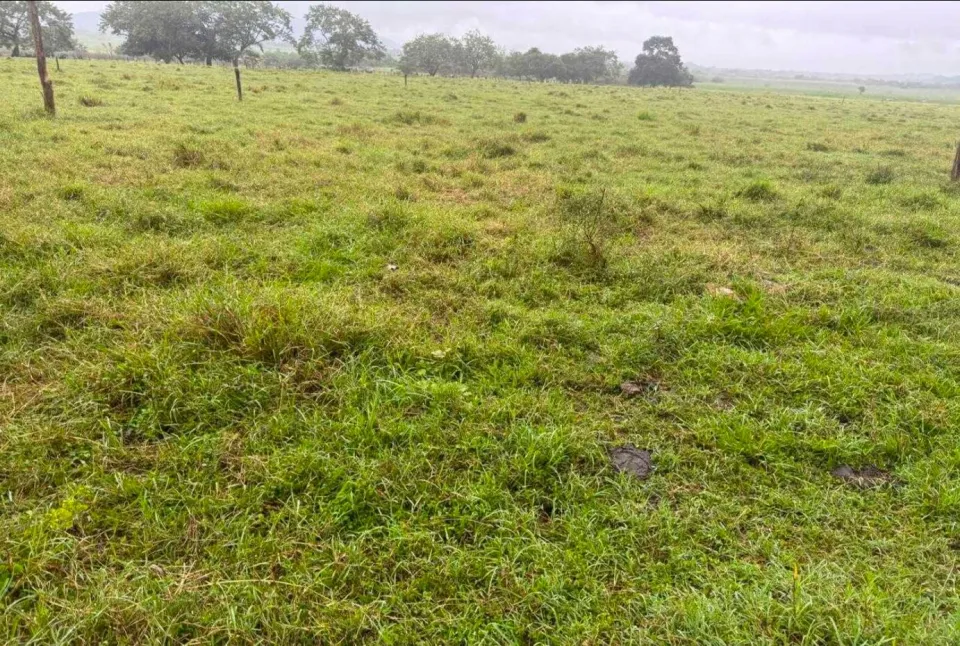 Finca en venta en Nicoya, Guanacaste – Finca en Nicoya, Guanacaste