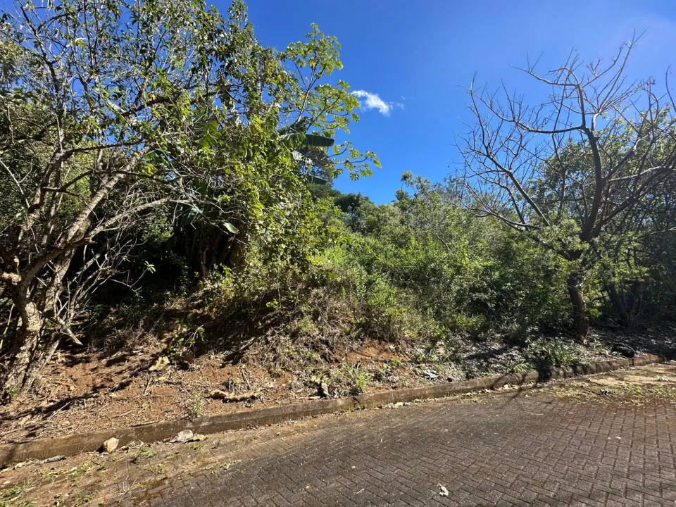 Lote en venta en Mora, San José – foto 3